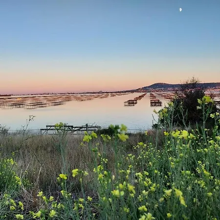 La De Thau Avec Vue Imprenable Sur Sète Casa vacanze Loupian