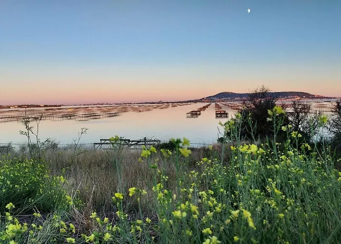 La De Thau Avec Vue Imprenable Sur Sète Hébergement de vacances Loupian